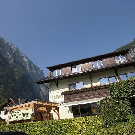 Gasthof Gruner Anger Χάλστατ