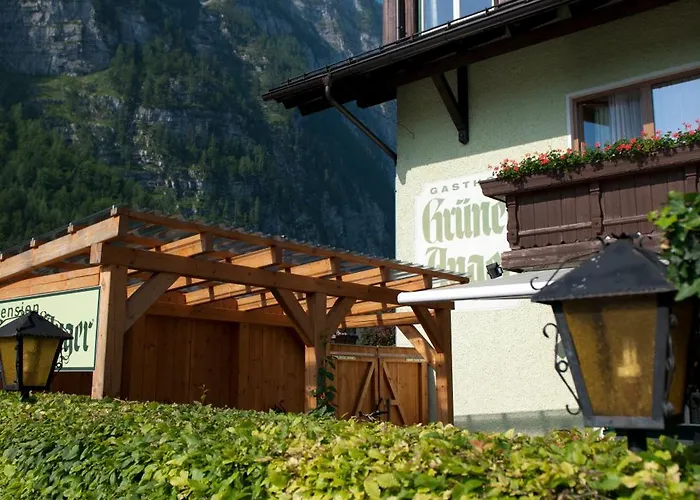 Gasthof Grüner Anger 3*