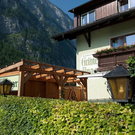 Gasthof Gruner Anger 3*