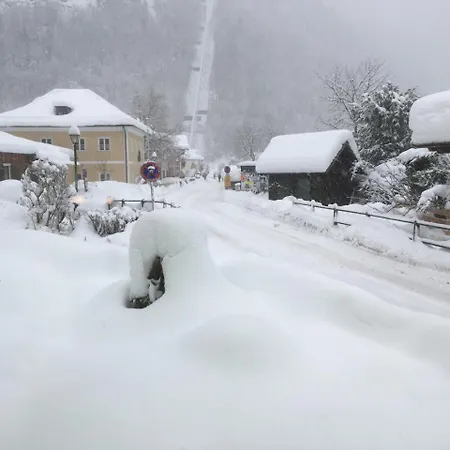Gasthof Gruner Anger Hotel Hallstatt