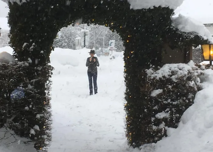 Gasthof Gruner Anger 3* Hallstatt